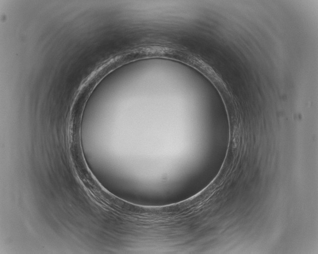 X0000085840722200703161055