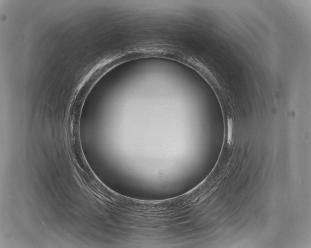X0000085840723200703161055