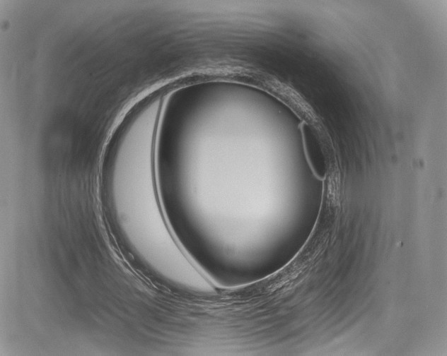 X0000085840724200703161055