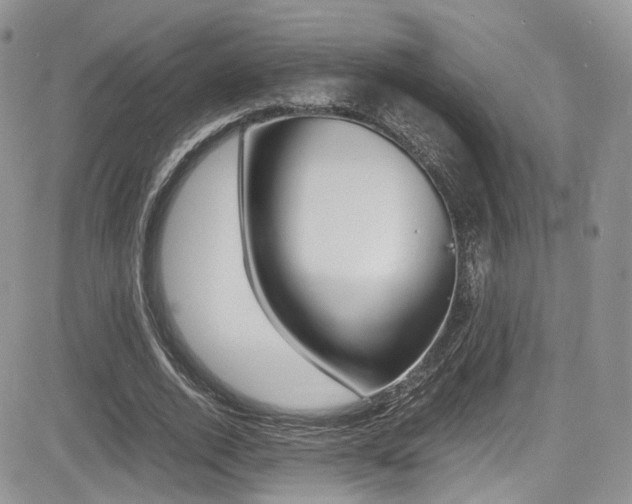 X0000085840728200703161055