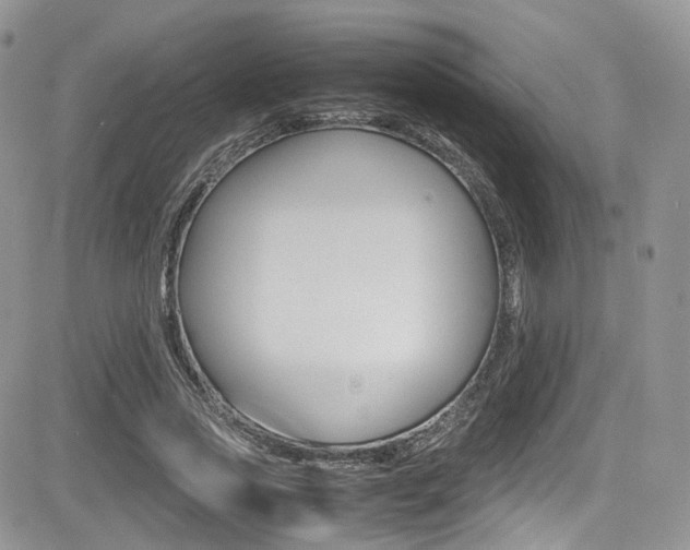 X0000085840733200703161055