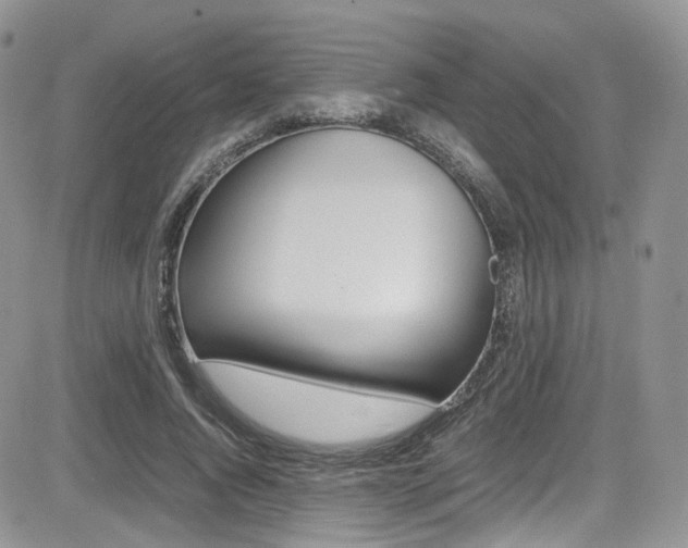 X0000085840736200703161055