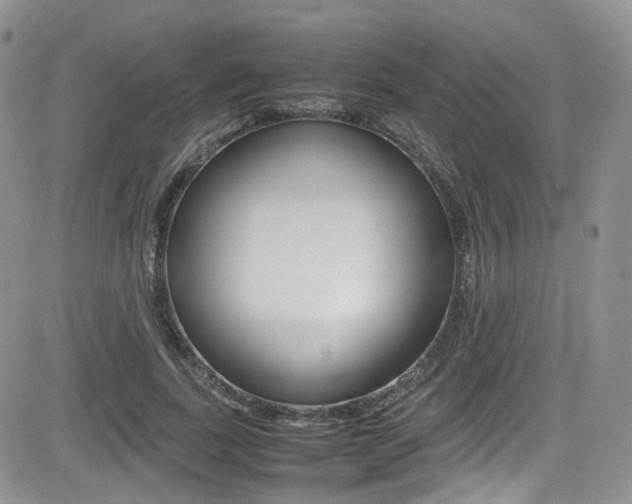 X0000085840739200703161055