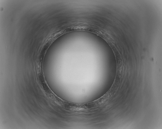 X0000085840743200703161055