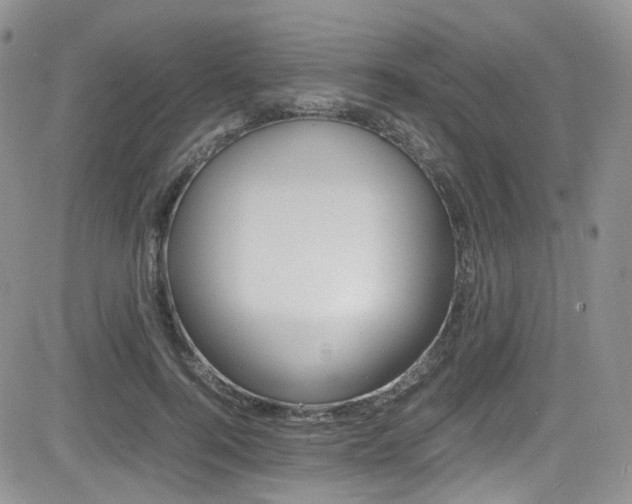 X0000085840744200703161055