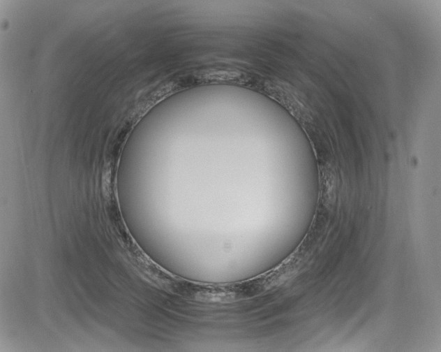 X0000085840745200703161055