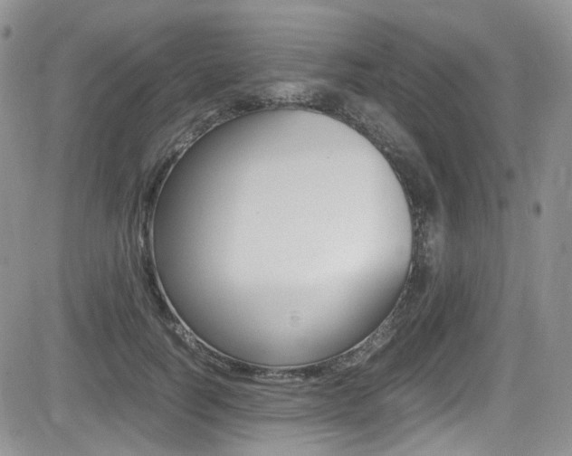 X0000085840746200703161055