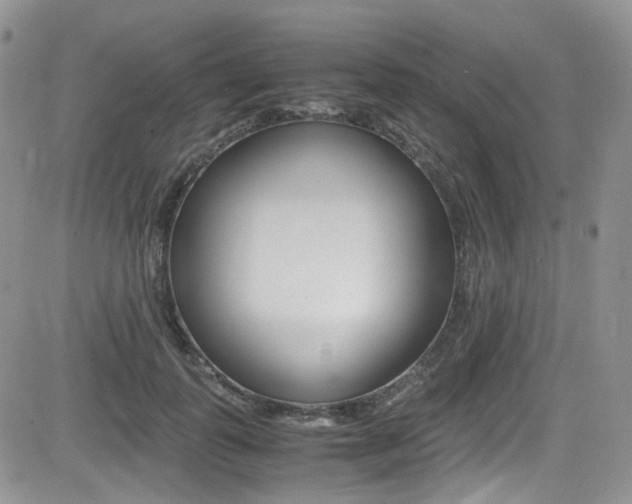 X0000085840747200703161055