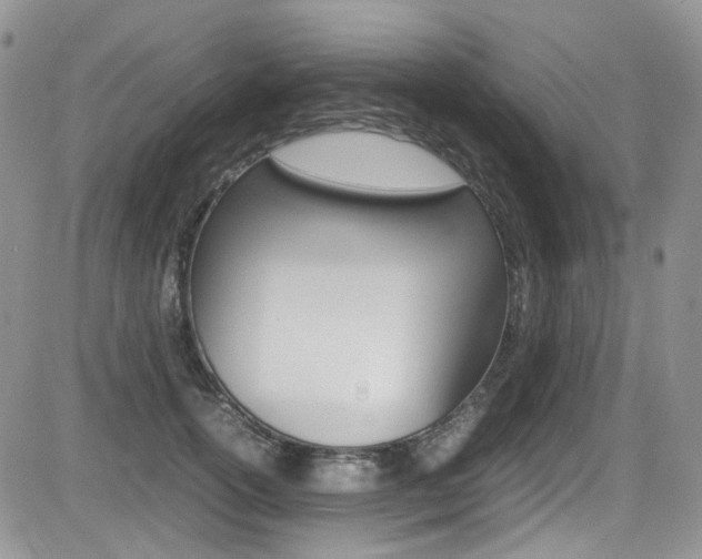 X0000085840754200703161055
