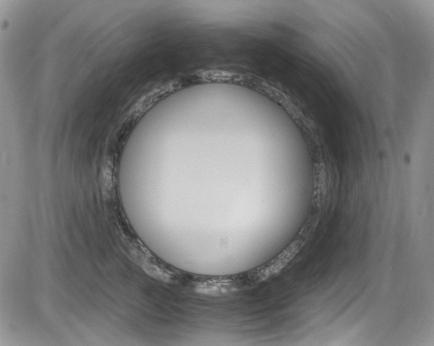 X0000085840761200703161055