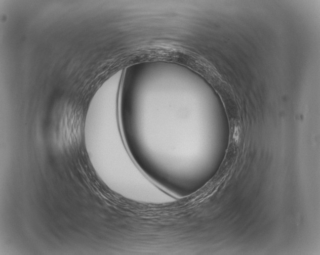 X0000085840771200703161055