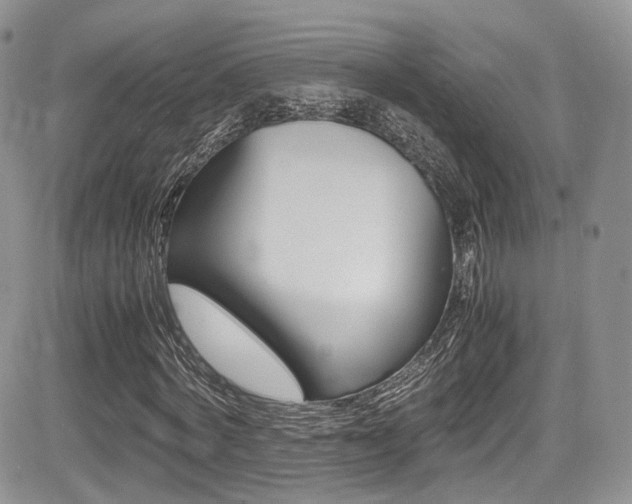 X0000085840772200703161055