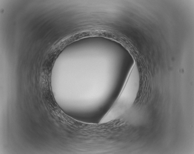X0000085840773200703161055