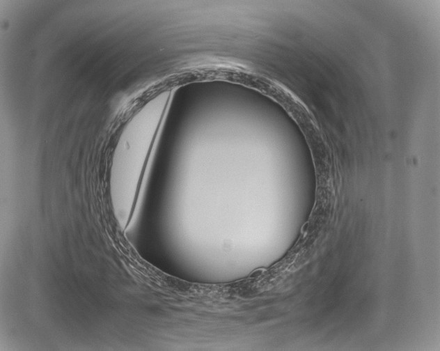 X0000085840775200703161055