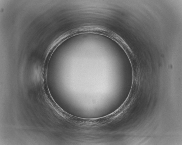 X0000085840786200703161054