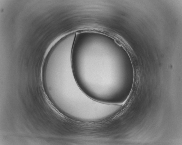 X0000085840788200703161054
