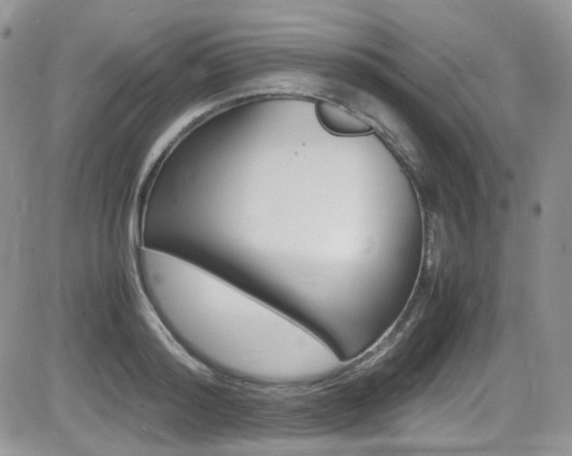 X0000085840796200703161054