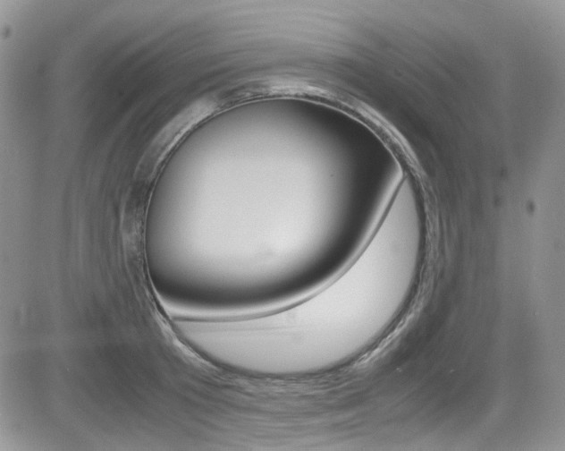 X0000085840801200703161054