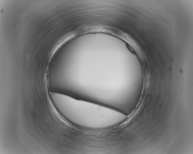 X0000085840806200703161054