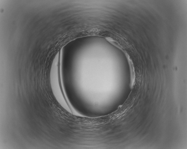 X0000085840818200703161053