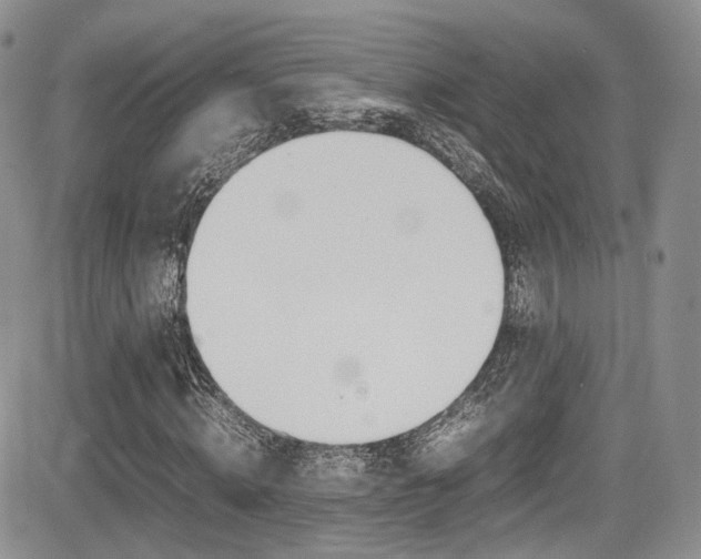 X0000085840820200703161053