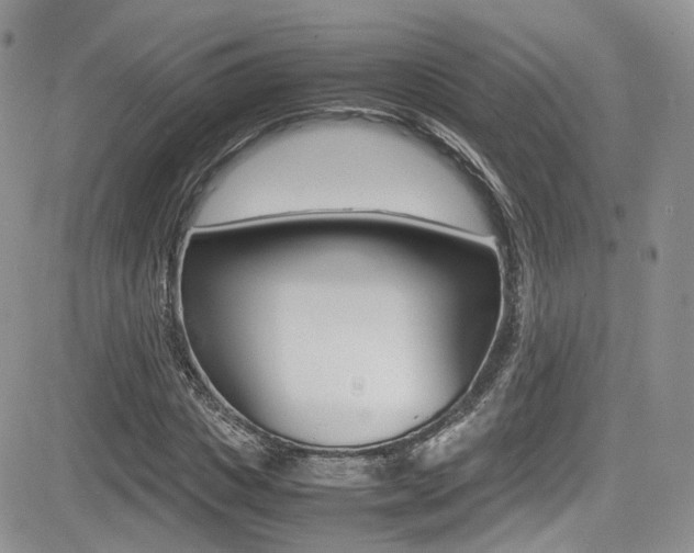X0000085840825200703161053
