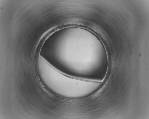 X0000085840830200703161053