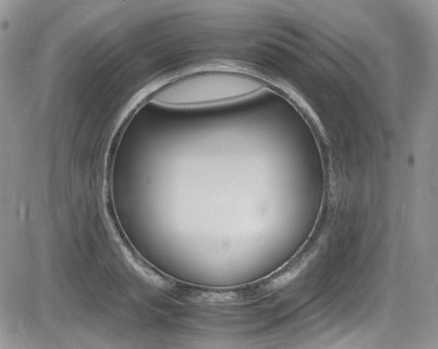 X0000085840845200703161054