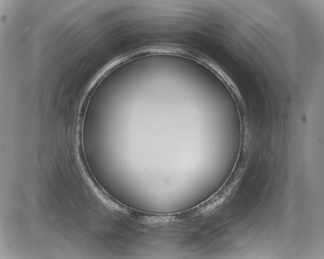 X0000085840853200703161054
