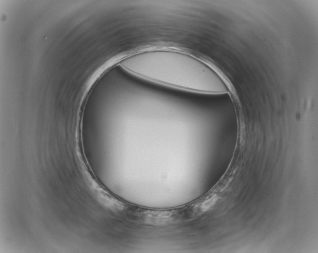 X0000085840861200703161054