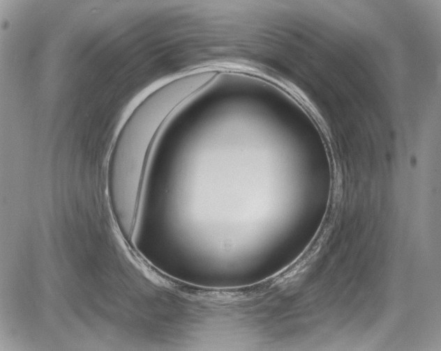 X0000085840862200703161054