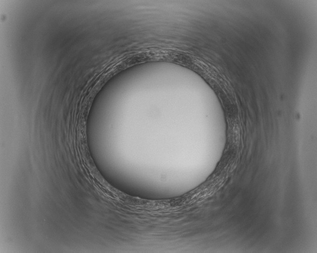 X0000085840865200703161053