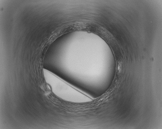 X0000085840867200703161053