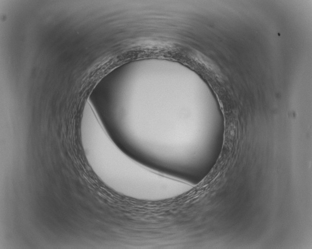 X0000085840869200703161053