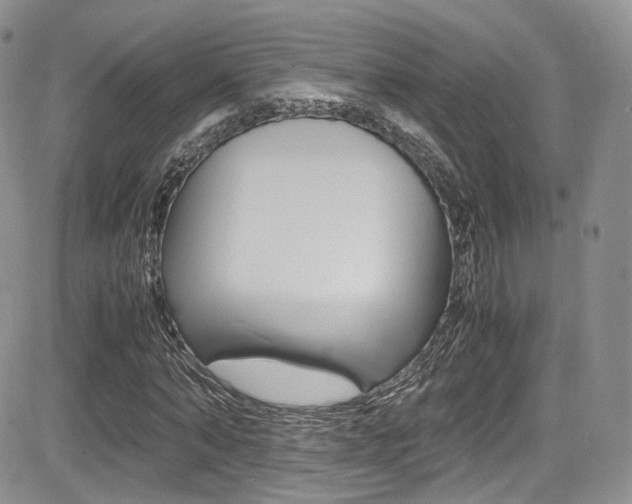 X0000085840870200703161053