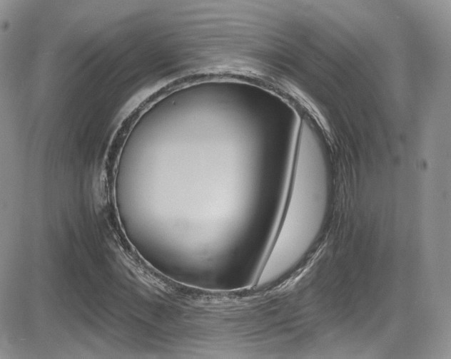 X0000085840876200703161053