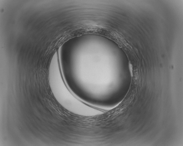 X0000085840916200703161052