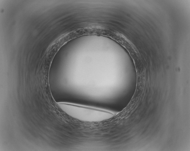 X0000085840919200703161052