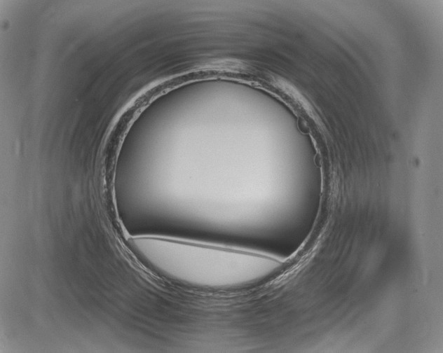 X0000085840923200703161052