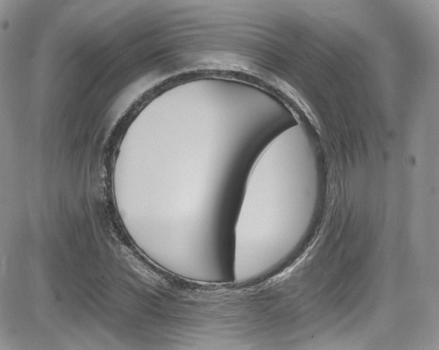 X0000085840926200703161052