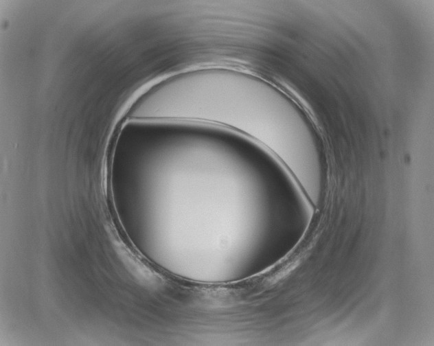 X0000085840940200703161052