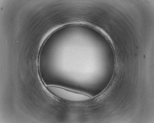 X0000085840951200703161052