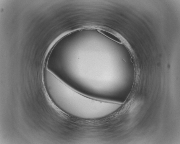 X0000085840955200703161052