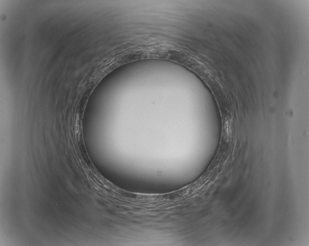 X0000085840963200703161051