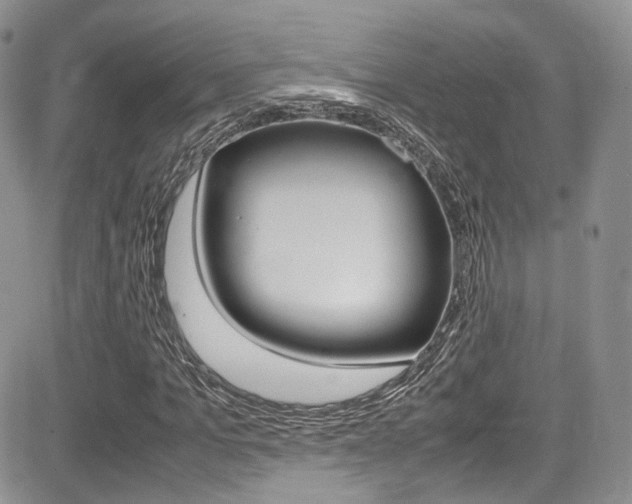 X0000085840965200703161051