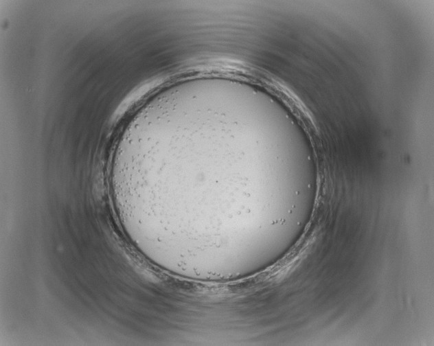 X0000085840978200703161051