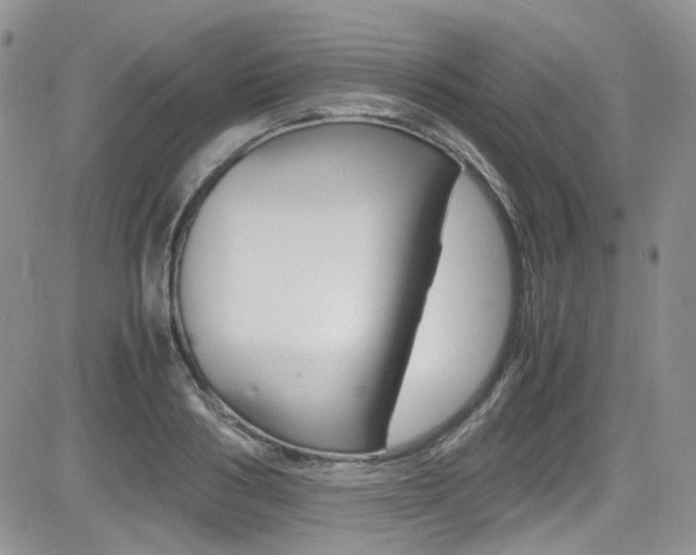 X0000085840986200703161051