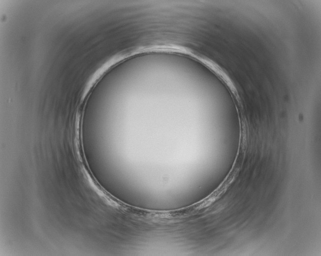 X0000085841006200703161051