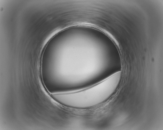 X0000085841007200703161051