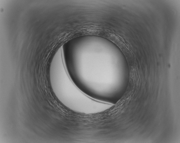 X0000085841009200703161050